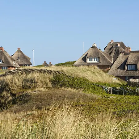 Moewennest Sylt